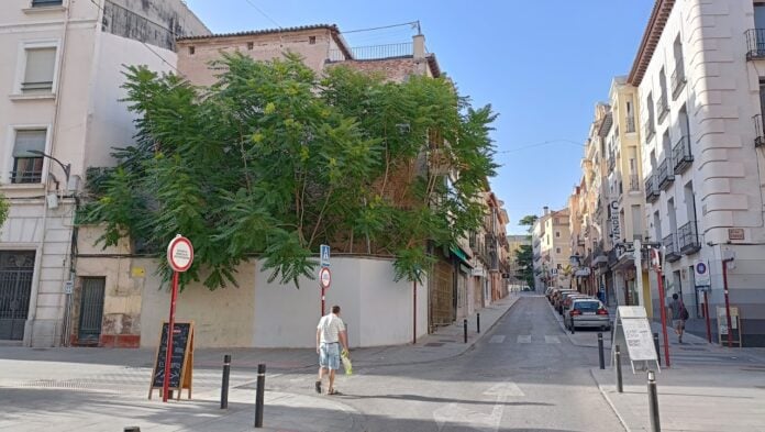 El solar del antiguo Bar Soria, lleno de vegetación, en julio de 2022. (Foto: La Crónic@)