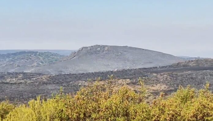 Superficie calcinada por el incendio de Valdepeñas de la sierra, desde Tortuero. (Foto: @dtagentes)