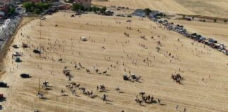El encierro por el campo en Uceda fue vigilado en la tarde del pasado sábado, 9 de julio, con un dron. (Foto: Guardia Civil)