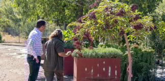 Vivero municipal de Guadalajara