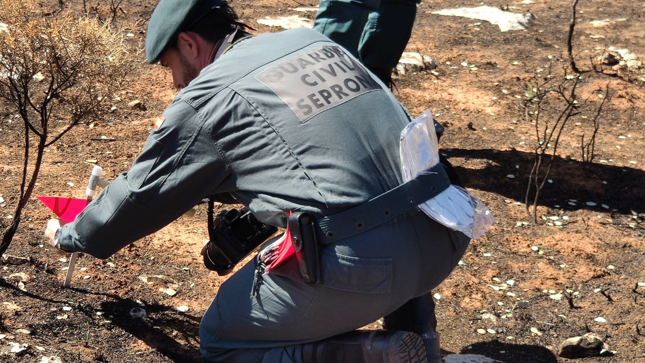 Agente del Seprona marcando el origen y dirección del fuego de Yunquera de Henares, en el verano de 2022. (Foto: Guardia Civil)