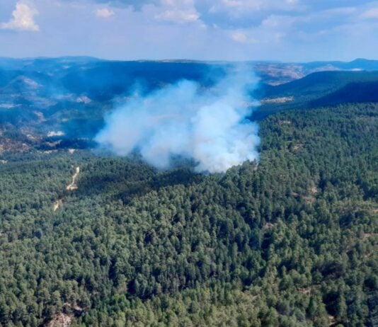 El incendio de Taravilla, a media tarde del lunes, 1 de agosto de 2022. (Foto: Infocam)