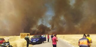 Incendio de Yunquera en el verano de 2022. (Foto: J.T. / La Crónic@)