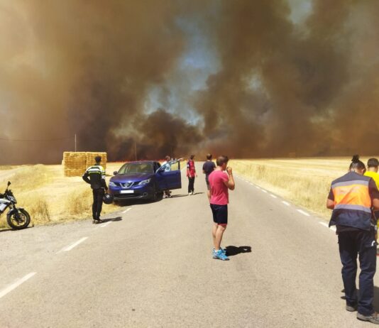 Incendio de Yunquera en el verano de 2022. (Foto: J.T. / La Crónic@)