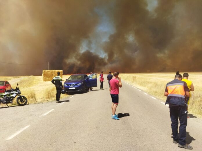 Incendio de Yunquera en el verano de 2022. (Foto: J.T. / La Crónic@)