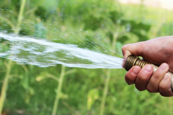 Procurar agua para el ganado en este verano está siendo aún más difícil en la Sierra Norte de Guadalajara. (Foto: Pixabay)