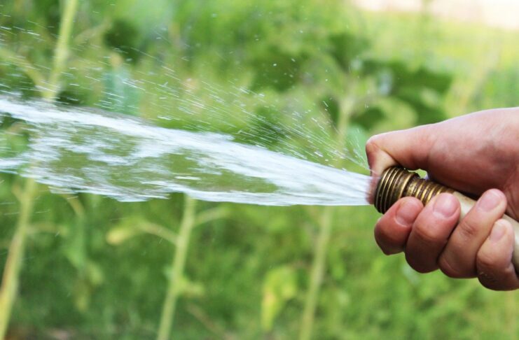 Procurar agua para el ganado en este verano está siendo aún más difícil en la Sierra Norte de Guadalajara. (Foto: Pixabay)