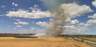 Extinción del incendio declarado en una rastrojera cerca de Azuqueca el 17 de agosto de 2022. (Foto: J. T. / La Crónic@)