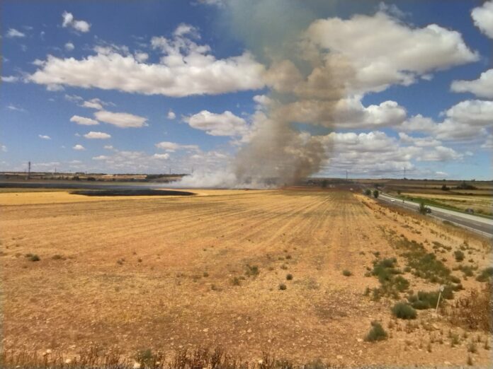Extinción del incendio declarado en una rastrojera cerca de Azuqueca el 17 de agosto de 2022. (Foto: J. T. / La Crónic@)