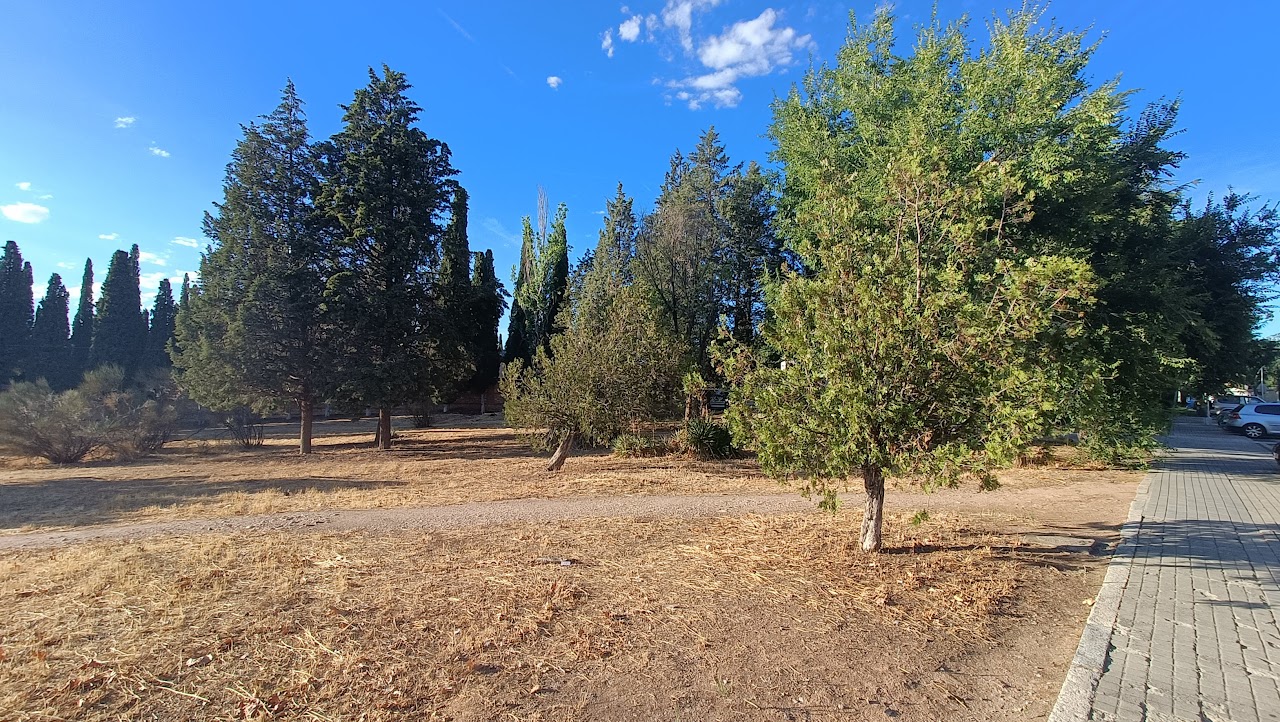 Supuesta "zona verde" entre el cementerio y el campus, en la calle Hermanos Fernández Galiano, en agosto de 2022. (Foto: La Crónic@)