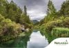 Más de 30 actividades gratuitas para empaparte de naturaleza este otoño en Castilla-La Mancha