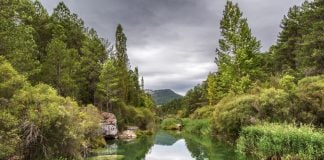 Más de 30 actividades gratuitas para empaparte de naturaleza este otoño en Castilla-La Mancha
