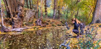 El Alto Tajo, la Sierra Norte y el río Dulce te ofrecen actividades gratuitas en agosto