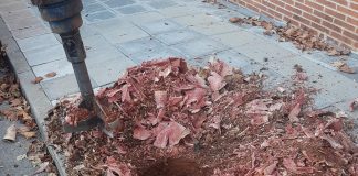 Destoconamiento en Cabanillas (sí, lo has leído bien) Trabajos en los alcorques de Cabanillas del Campo.