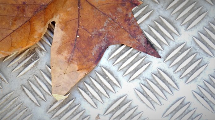 Hoja caída, en otoño. (Foto: La Crónic@)