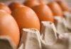 Comer huevos previene el Alzheimer, dicen ahora