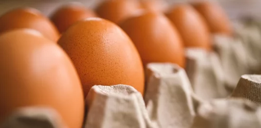 Comer huevos previene el Alzheimer, dicen ahora