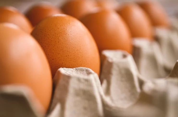 Comer huevos previene el Alzheimer, dicen ahora