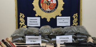 Junto con la marihuana, en esta vivienda de Valdeaveruelo fueron localizadas numerosas armas simuladas. (Foto: CNP)