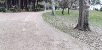 Desconchado y descolorido tramo de carril-bici en el parque de la Constitución el 24 de enero de 2023. (Foto: La Crónic@)