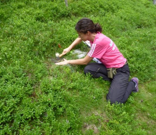 Elena Granda, haciendo trabajo de campo en su investigación sobre las termitas.
