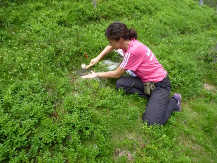 Elena Granda, haciendo trabajo de campo en su investigación sobre las termitas.