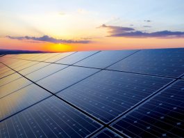 Paneles solares.