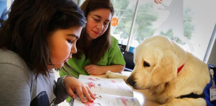 Leer delante de un perro ayuda a algunos niños a superar sus dificultades lectoras.
