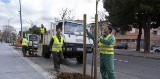 Plantación de árboles en Azuqueca, en marzo de 2023.