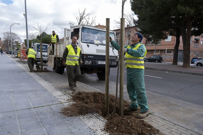 Plantación de árboles en Azuqueca, en marzo de 2023.