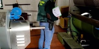 La Guardia Civil durante la inspección de una de las dos almazaras implicadas en el robo de aceitunas.