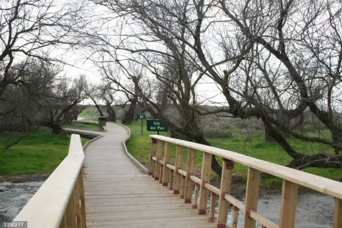 Las Tablas de Daimiel están recurrentemente sin agua por mas que ocasionalmente se encharquen con derivaciones desde Entrepeñas.