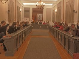 Unanimidad en la votación del Ayuntamiento de Guadalajara el 20 de marzo de 2023.