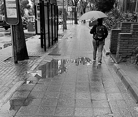 Peatón con paraguas en la Avenida del Ejército de Guadalajara, durante el pasado mes de abril. (Foto: La Crónic@)