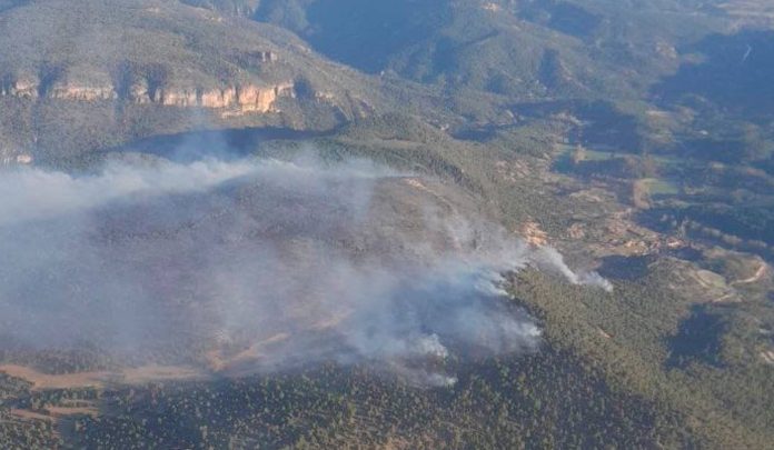 Vista aérea parcial del área quemada en el incendio de Ocentejo. (Foto: Infocam)