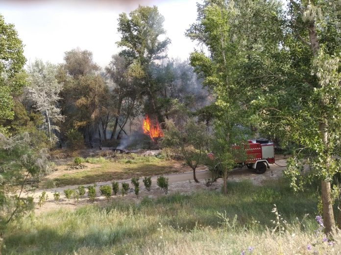Fuego a las orillas del río Henares en Guadalajara, en la zona de Manantiales. (Foto: La Crónic@)