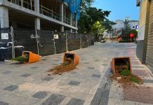 Los nuevos tiestos, arrasados al principio de la noche del jueves en las proximidades de Santo Domingo. (Foto: Twitter)