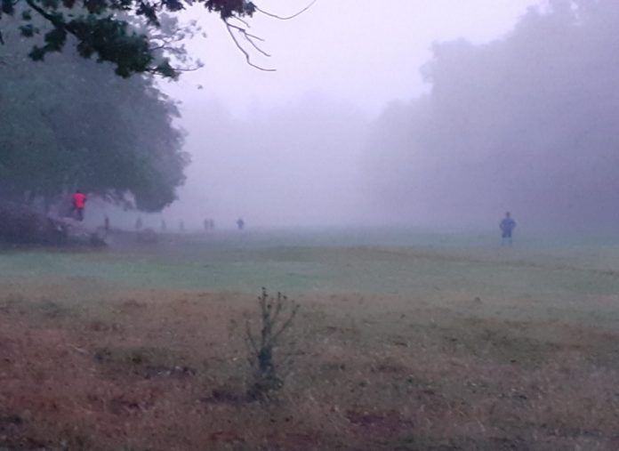 Los dos grupos anduvieron a a vueltas entre la niebla, con los novillos en el campo y la Guardia Civil mediando.