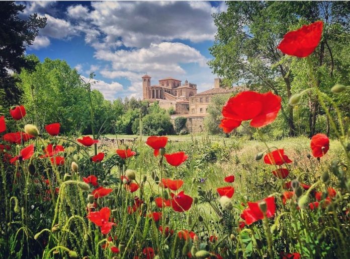 Esta es la foto de Sigüenza que participa en el concurso de Instagram.