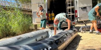Los GEAS de la Guardia Civil se han incorporado este domingo a las labores de búsqueda del joven desaparecido en las aguas del Tajo en Trillo.