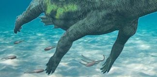 Recreación de un notosaurio como los que habitaron, hace muchos millones de años, lo que ahora es Valdelcubo, en Guadalajara.