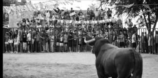 Como en los pueblos de su entorno, la presencia de los festejos taurinos siempre fue tradicional en el programa.