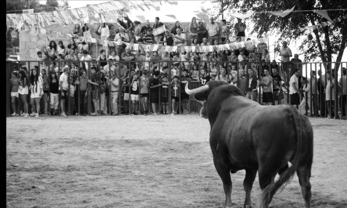 Como en los pueblos de su entorno, la presencia de los festejos taurinos siempre fue tradicional en el programa.