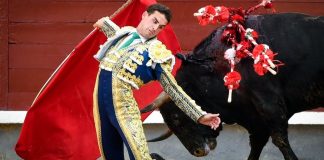 Fernando Adrián en la tarde de la Beneficencia de 2023, donde cortó las dos orejas del sexto y abrió, por segunda vez consecutiva, la puerta grande de Madrid. (Foto: Plaza 1)