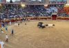 La plaza de Guadalajara, de nuevo a rebosar este sábado para el tercer encierro de las Ferias.