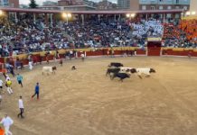 La plaza de Guadalajara, de nuevo a rebosar este sábado para el tercer encierro de las Ferias.