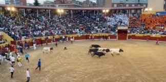 La plaza de Guadalajara, de nuevo a rebosar este sábado para el tercer encierro de las Ferias.