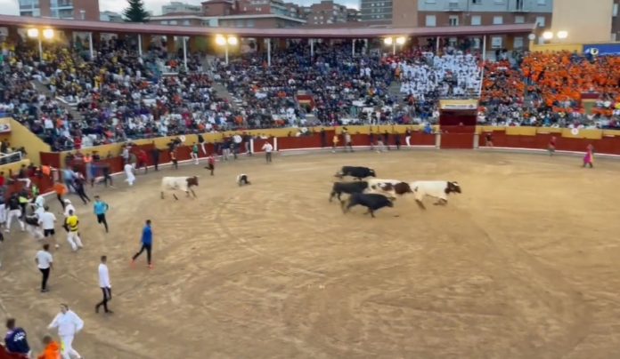 La plaza de Guadalajara, de nuevo a rebosar este sábado para el tercer encierro de las Ferias.