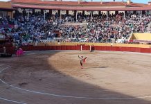 Triunfal Fernando Adrián en la segunda corrida de la Feria de Guadalajara. (Foto: La Crónic@)