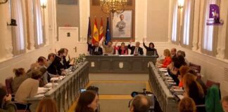 Momento de la votación que ratificaba este viernes la subida del IBI para 2024.